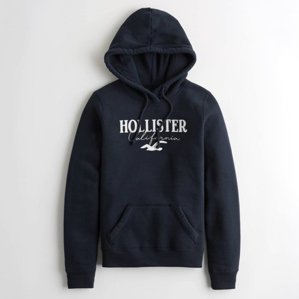 Hollister Easy Appliqué Logo Graphic Hoodie Navy Blue
